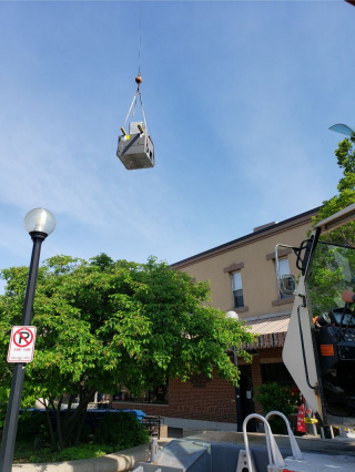 20190516_092648-320x426